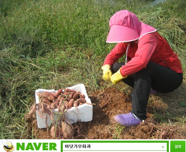 신안건재 이미지