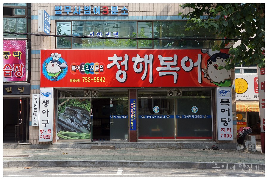 청해복어 이미지