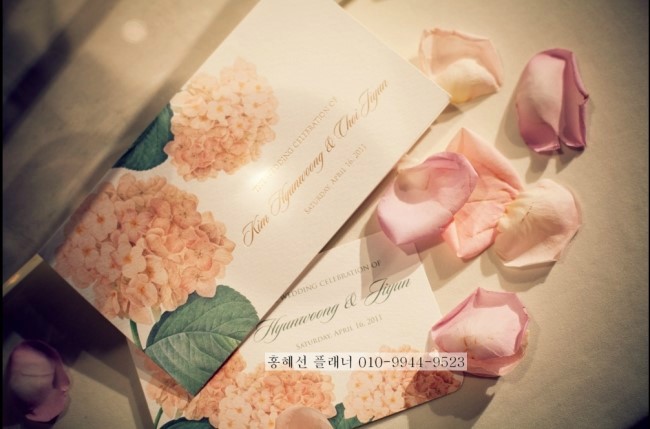김씨스토리 이미지