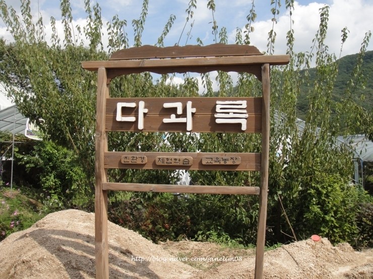 흰구름체험농장 이미지