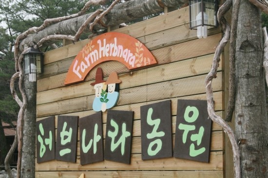 허브나라 자작나무집 이미지
