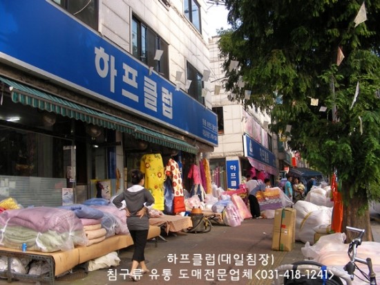 대일침장 이미지