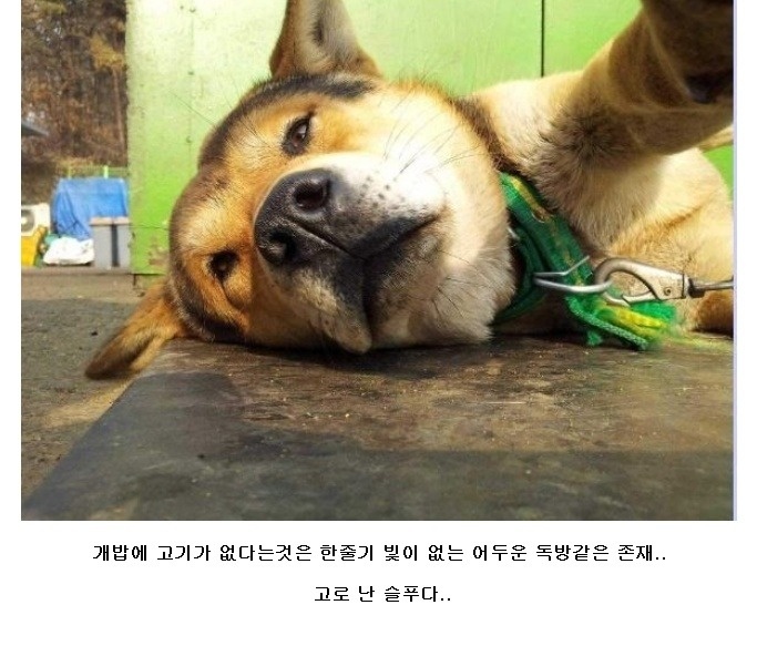 허*렬 이미지