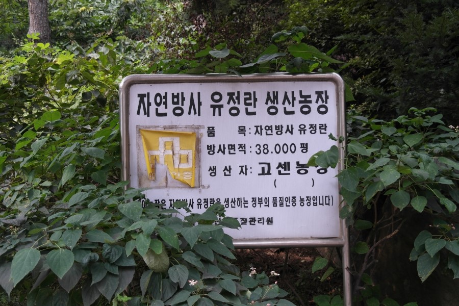 언덕위에토종닭집 이미지