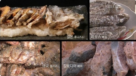 서남민물고기 이미지