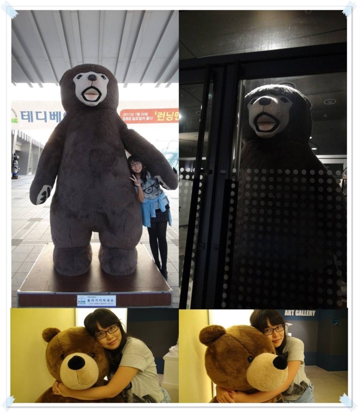 테디베어스토리 이미지