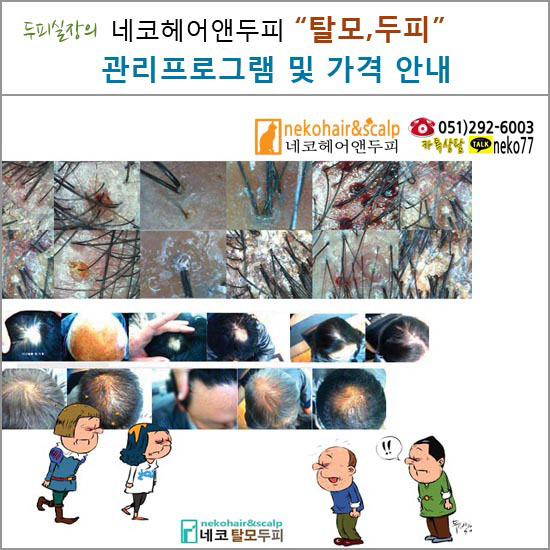 네코네일 이미지