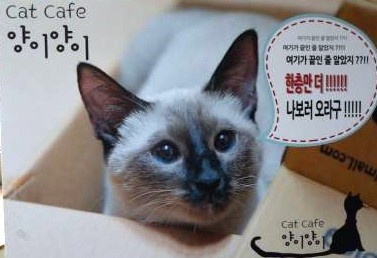 발리노래광장 이미지
