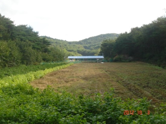 대지축산농원 이미지
