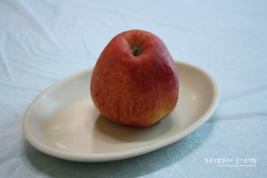 송죽식당 이미지