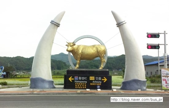 황소축산 이미지