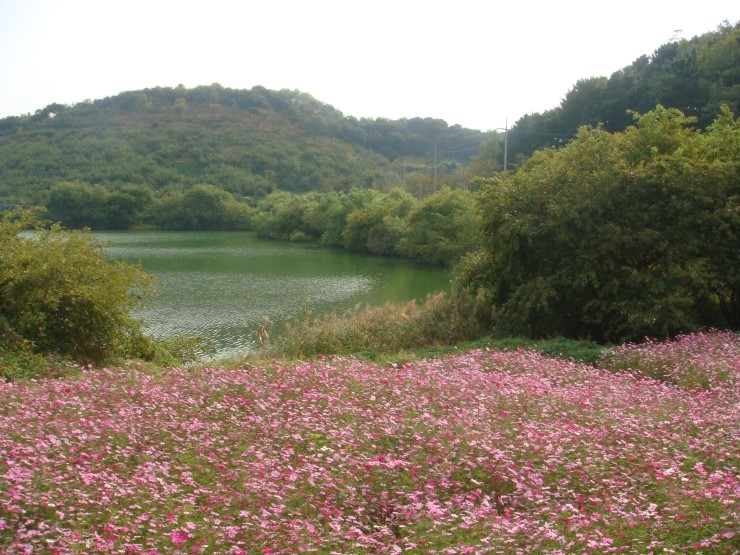 저녁숲 이미지