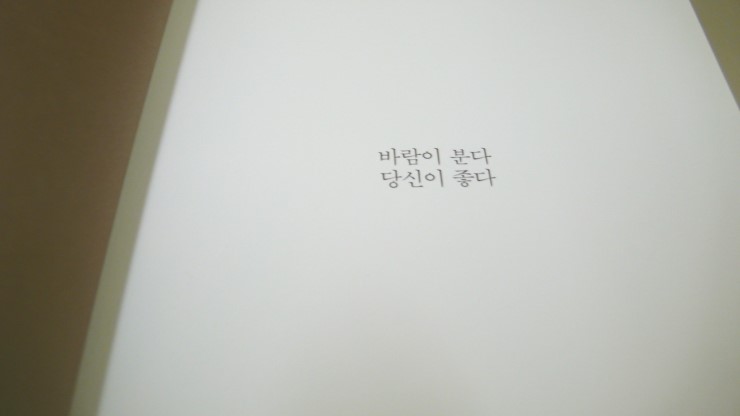알로하 하와이 이미지