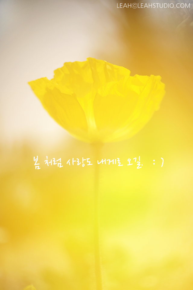 스튜디오레아 이미지