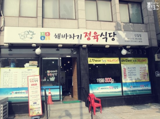 푸른농장해바라기 이미지