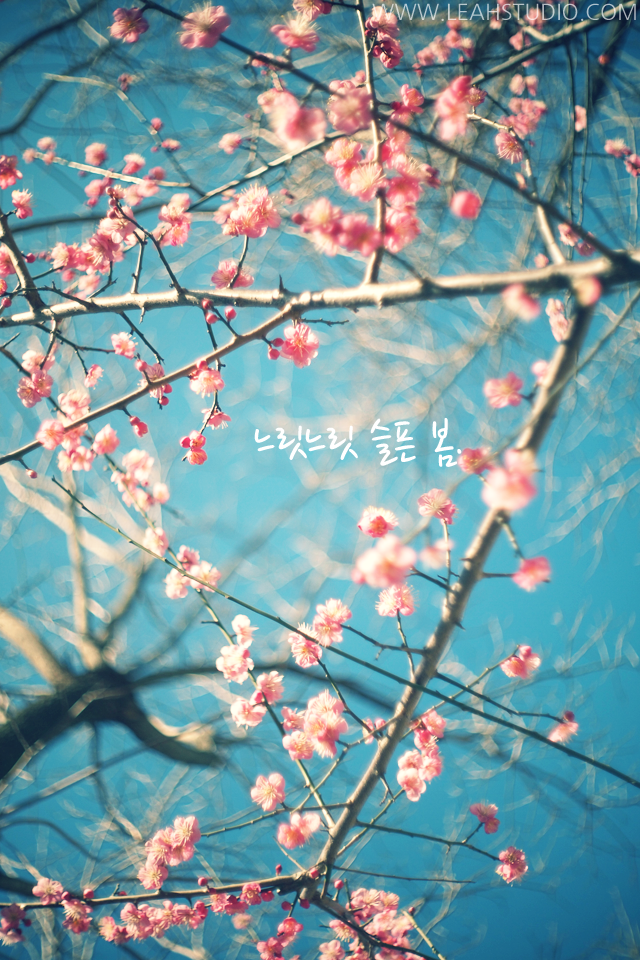 스튜디오레아 이미지