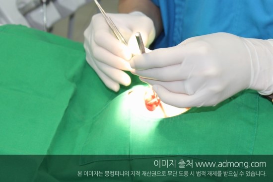 임플라인치과의원 이미지