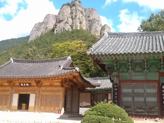대진사 이미지