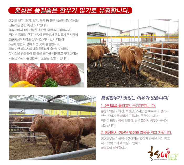 홍성한우우리소 이미지