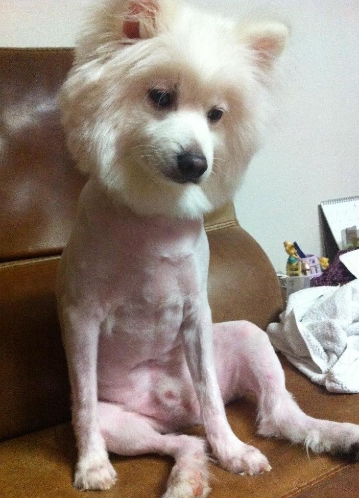 모락한의원 이미지