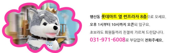 국제무도학원 이미지