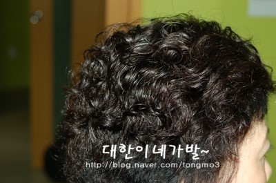 멋쟁이가발 이미지