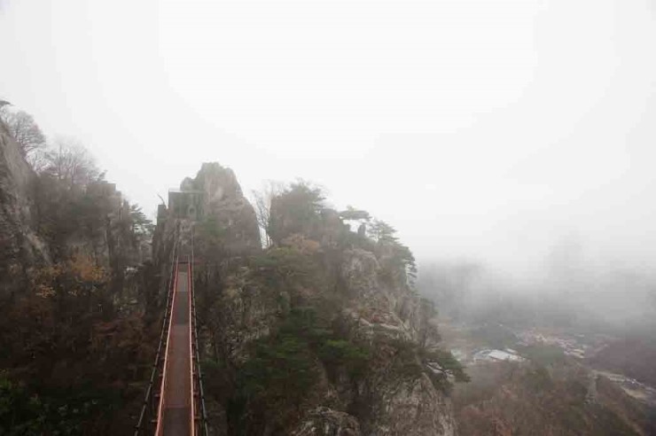 인삼한우타운 이미지
