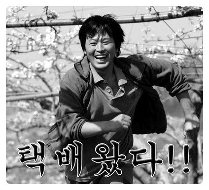카키(Khaki) 이미지