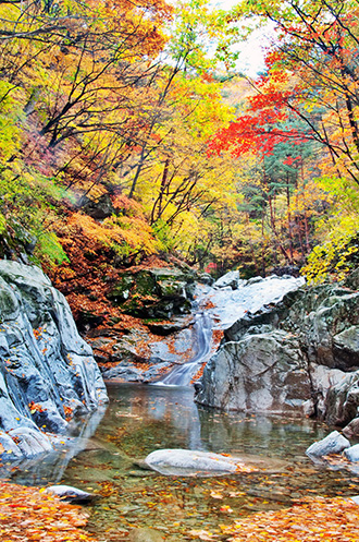 Colors of Korea 이미지