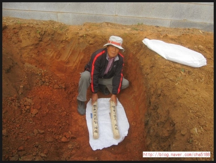 나무박사장 이미지