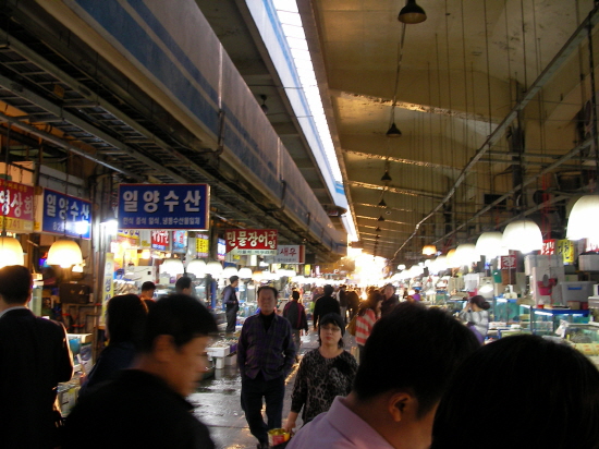 함평상회 이미지