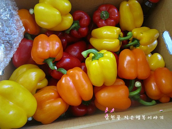 근하환경 이미지