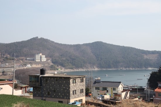 남해복어 이미지