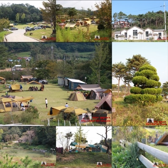 처가집삽교곱창 이미지