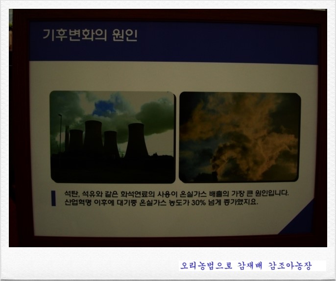 국제오리 이미지
