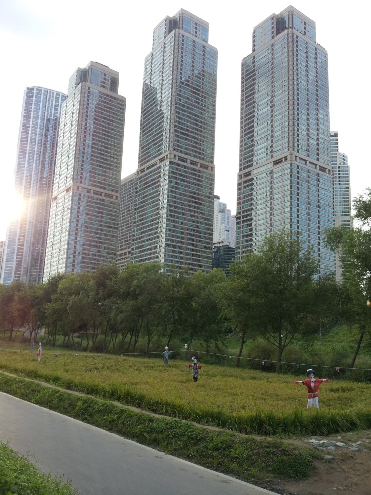 유메수산 이미지