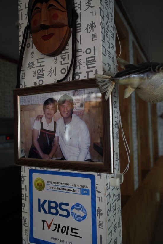 남해복어 이미지
