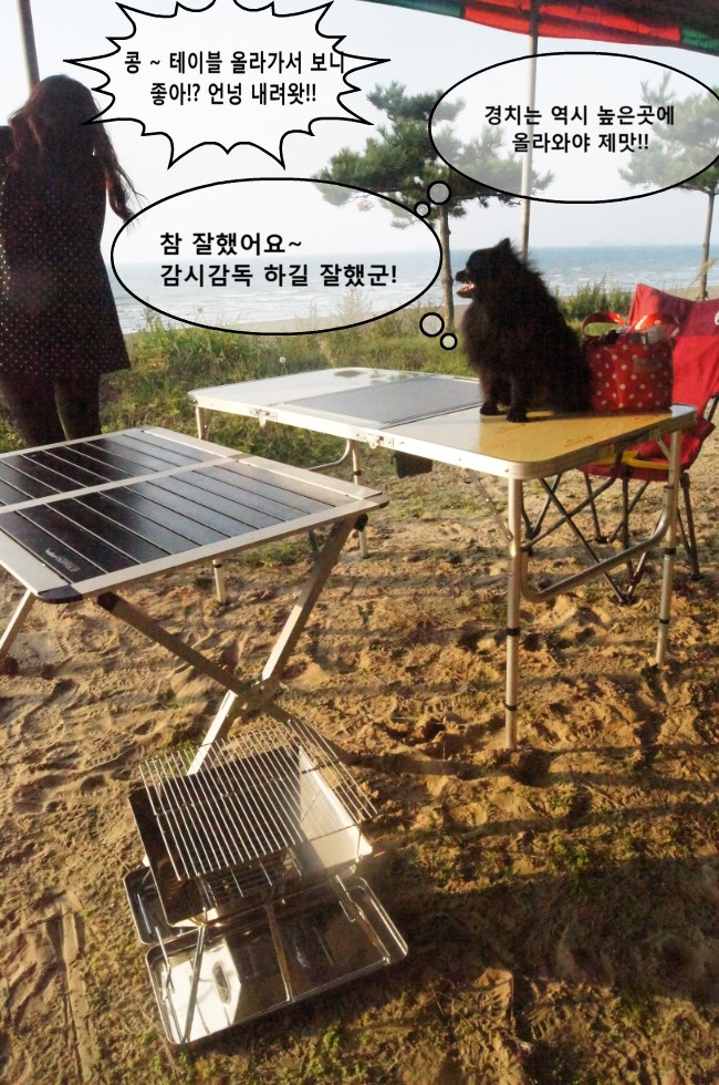 버팔로 가든 이미지