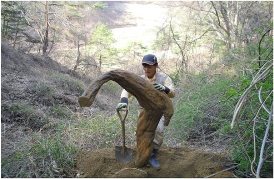 황가식품 이미지