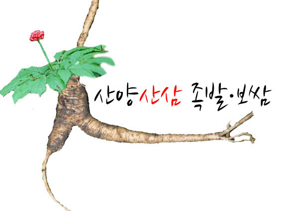 장인왕족발 이미지