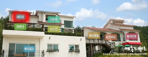 메종드메르 이미지