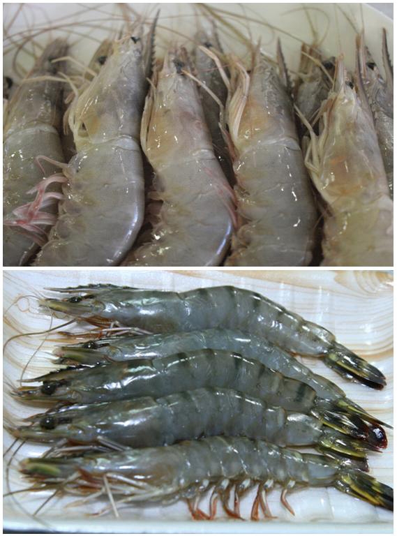 대하반점 이미지