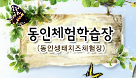 동인체험 이미지