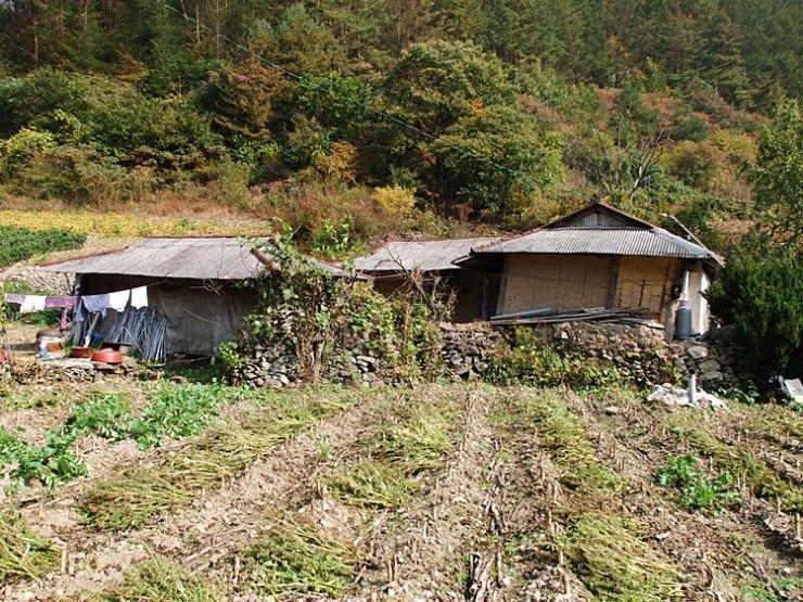 고라데이마을 이미지