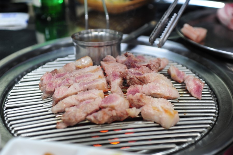 참돈 이미지