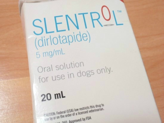 강아지 다이어트 치료제 Slentrol : 네이버 블로그