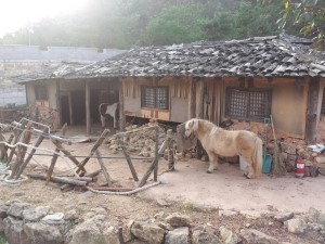 성문프린팅 이미지