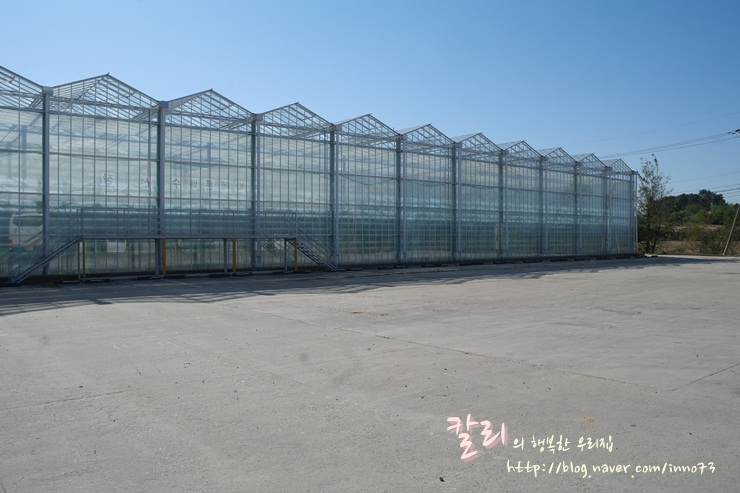 농업회사법인(주)동부팜 이미지