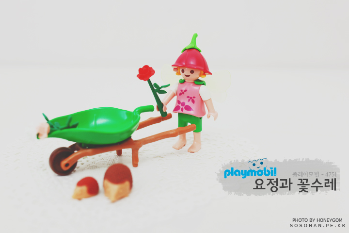 꽃수레 이미지