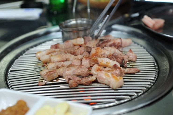 참돈 이미지